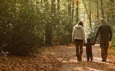 Small mistakes in Wills