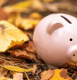 Piggy Bank in Leaves