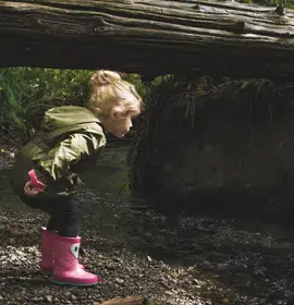 Child Exploring the Woods