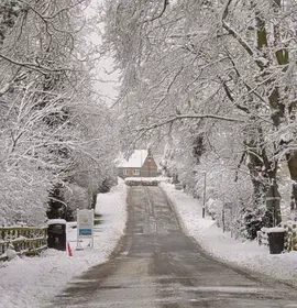 Snowy street