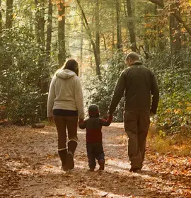 Small mistakes in Wills