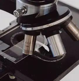 Microscope