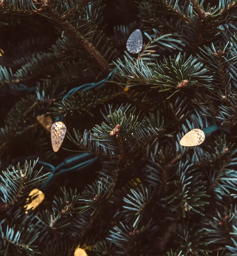 pine-greenery-with-holiday-lights