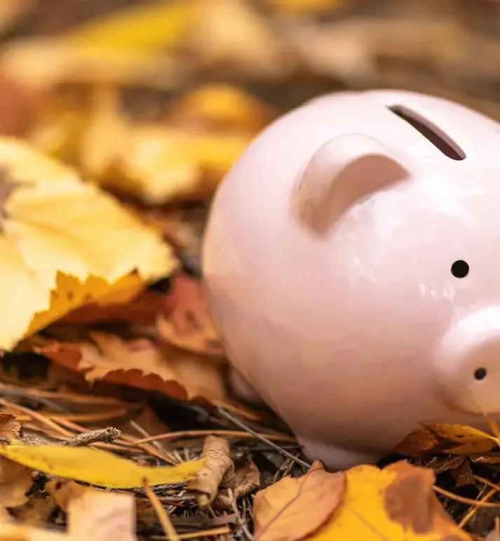 Piggy Bank in Leaves