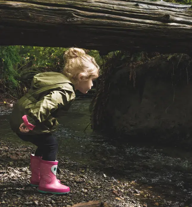 Child Exploring the Woods