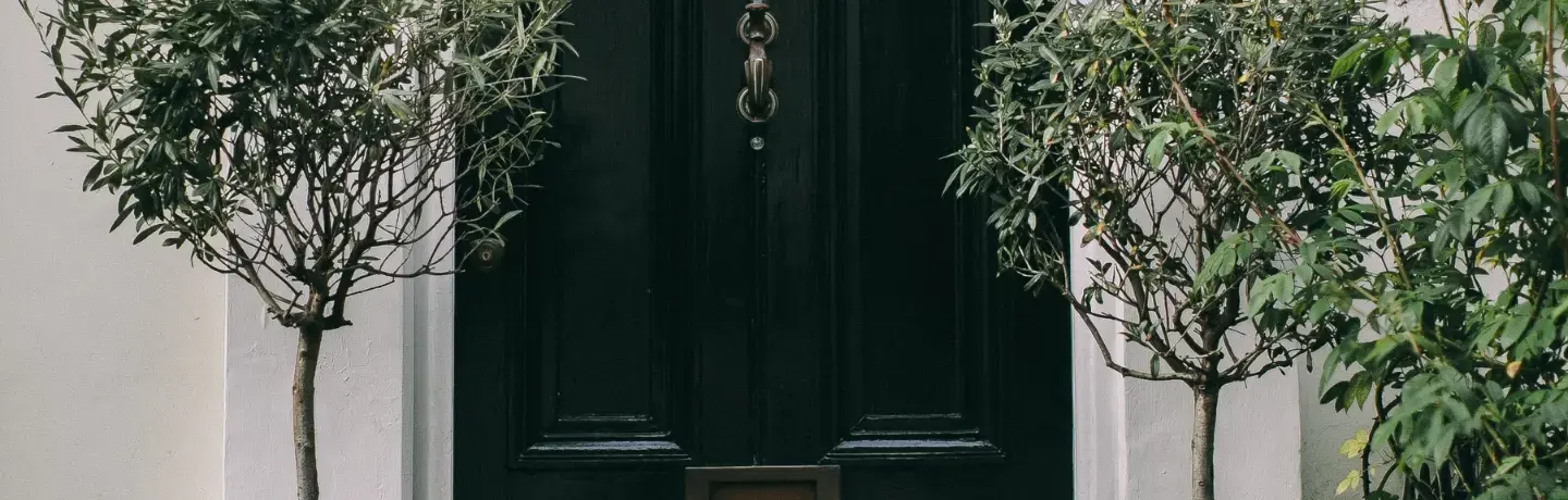 A black door on a white building with two small trees either side.