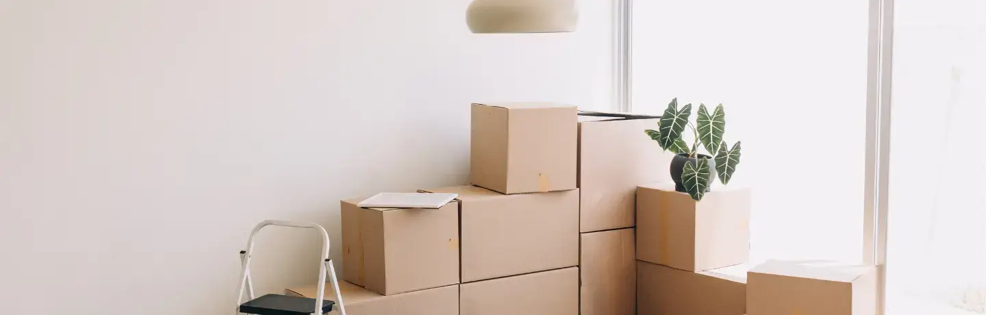 Brown cardboard boxes stacked against a white wall.