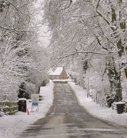 Snowy street