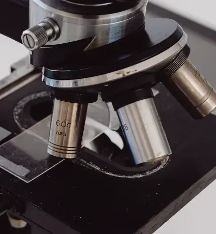 Microscope